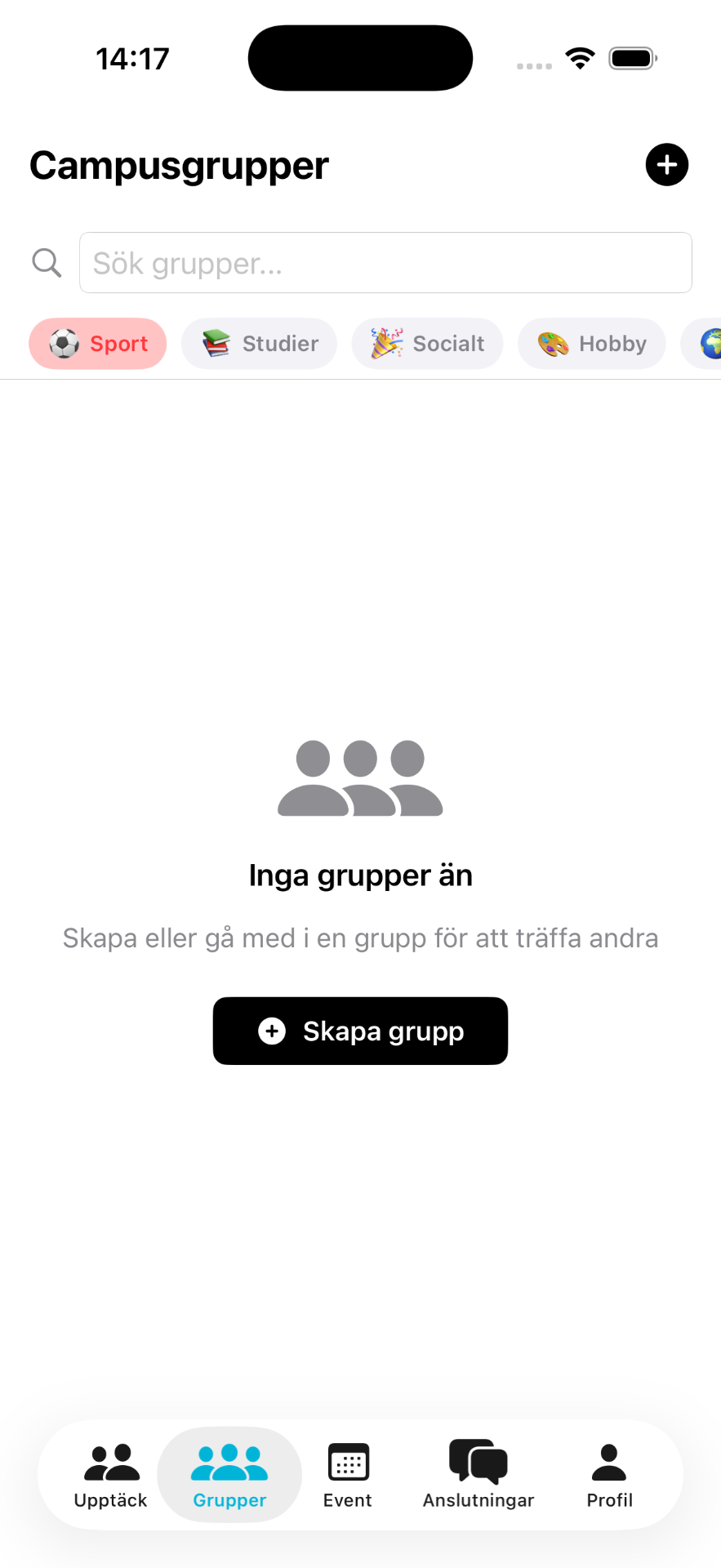 Dorm — 3 · Grupper